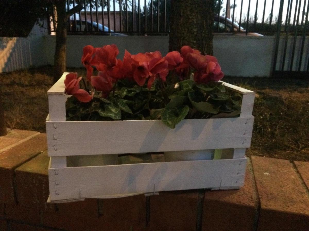 كاستيل فولتورنو 7Quater B&B المظهر الخارجي الصورة
